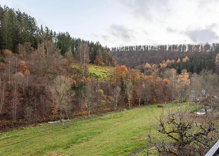 Baumgaertner