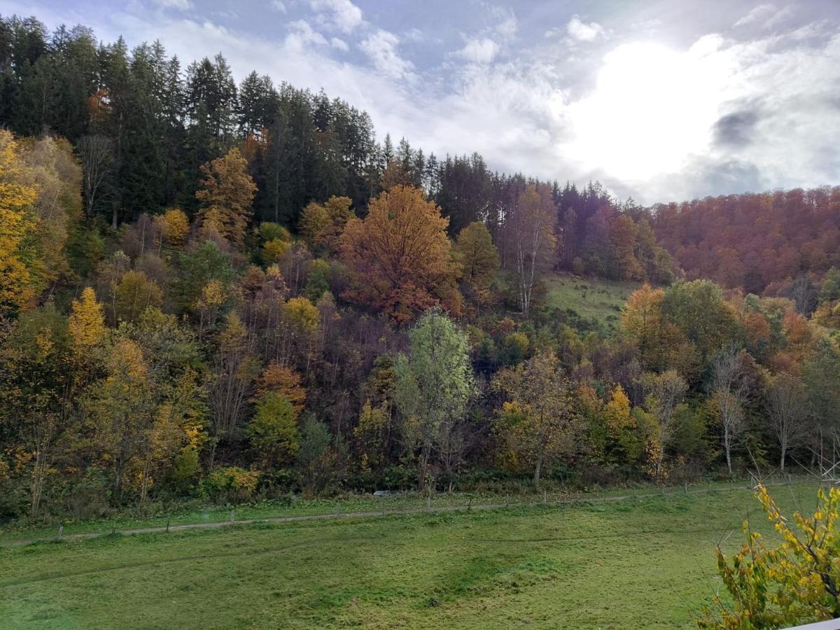 Baumgaertner *
